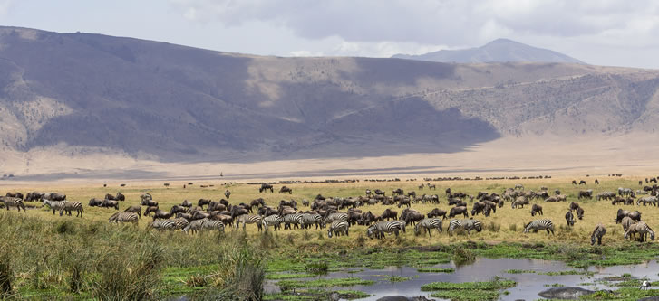 Ngorongoro-crater