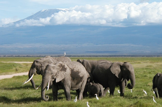 kenya camping safaris