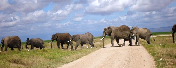 kenya-lodge-safaris