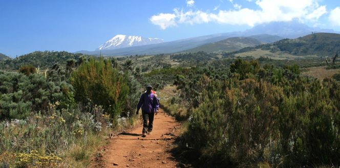 marangu-route